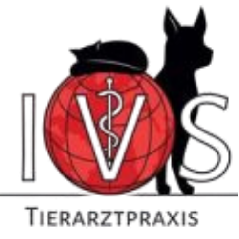 IVS GmbH Logo